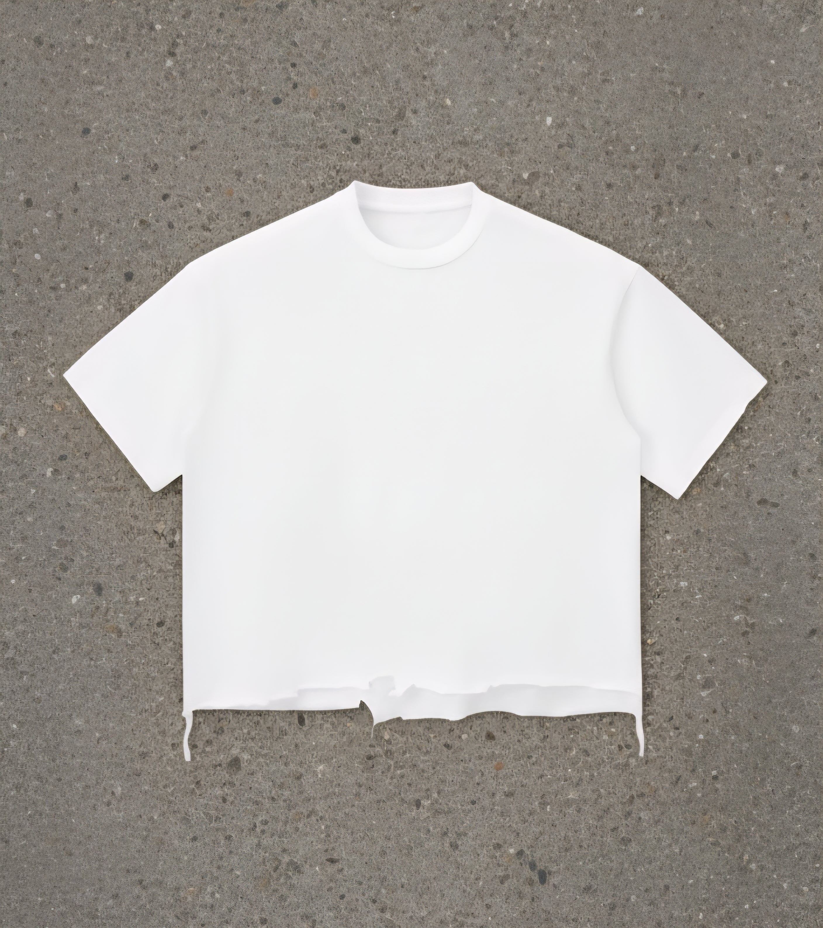 "The Reverie Tiger" - Snow Wash Raw-Hem Boxy T-Shirt